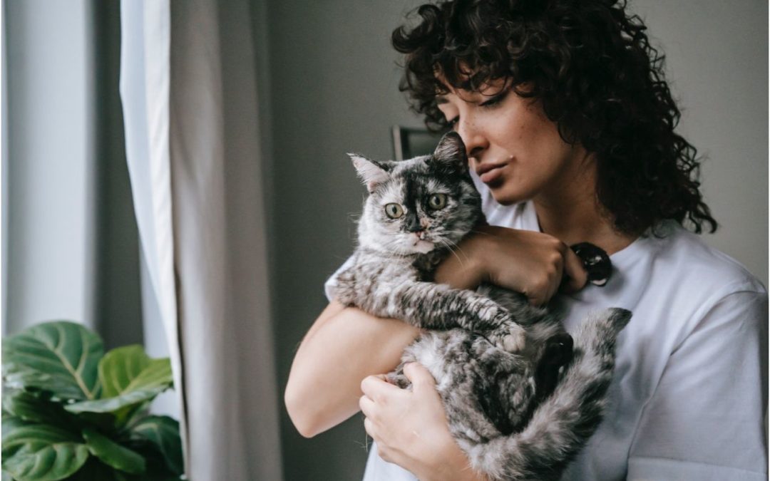 5 Fantastic Ways to Celebrate National Cat Lovers Month
